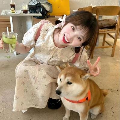 书法女孩 舞动甲子园